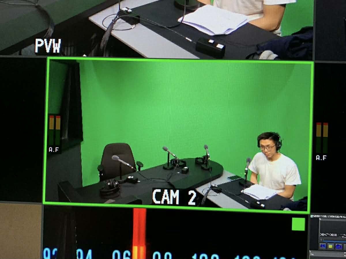 Professional Voiceover